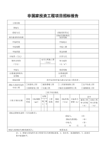 非国家投资招标报告