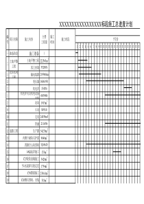 土地整理施工总进度计划横道图