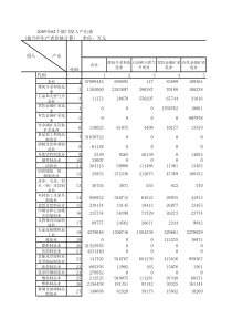 2005年62部门投入产出流量表