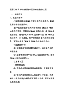 观察DNA和RNA在细胞中的分布实验的过程