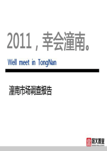 2012年潼南房地产市场研究分析调查报告