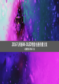 2017-飞利浦OLED电视新品推广方案_达毅思创（PPT45页）