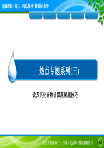 2015届高考化学(人教版)一轮复习配套课件：热点专题系列3 铁及其化合物计算题解题技巧