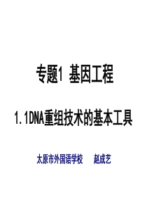 选修3专题1基因工程11DNA重组技术的基本工具