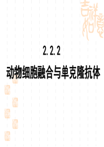 人教版教学课件动物细胞融合及单克隆抗体公开课