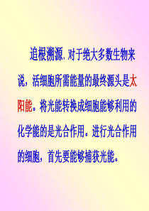 人教版教学课件山东省冠县一中高一生物《捕获光能的色素和结构》课件