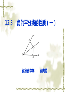 新人教版数学八年级上册数学12.3 《角的平分线的性质》ppt课件1