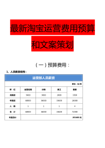 最新天猫和淘宝运营费用预算和文案策划