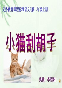 小花猫刮胡子