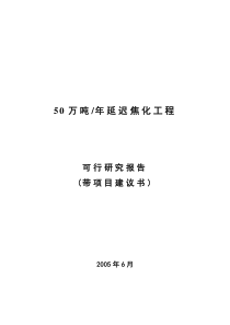 50万吨年延迟焦化工程可行研究报告(带项目建议书)[1]