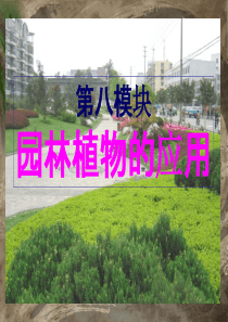 2019园林植物的应用.ppt