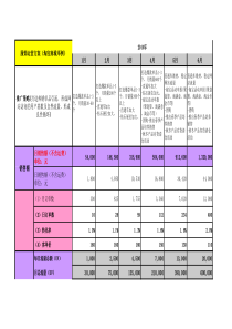 69电商2014年运营计划―电商服饰运营方案(天猫商城举例)