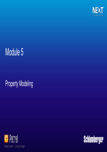 M5-Facies-Modeling相建模(Schlumberger-petrel教学资料)