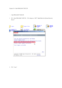 Cognos-8.3-+-Sun-ONE-LDAP-集成方案