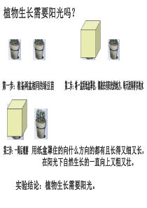 5、幼苗与阳光Microsoft PowerPoint 演示文稿