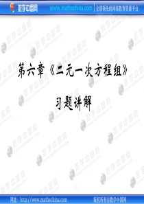 数学：6.5二元一次方程组习题讲解课件(北京课改版七年级下)