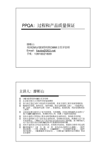 25 过程和产品质量保证