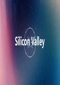 Silicon valley英美文化硅谷展示PPT