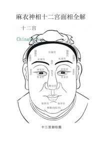 麻衣神相十二宫面相全解