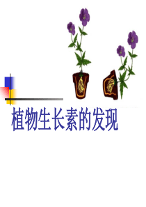 高中生物《植物生长素的发现》教学课件人教版必修三.ppt