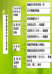 高中生物《第一章 第二节 细胞的多样性和统一性》课件3 新人教版必修1