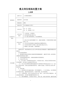 重点岗位现场处置方案