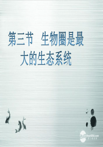 七年级生物上册 第二章 第三节 生物圈是最大的生态系统课件 人教新课标版