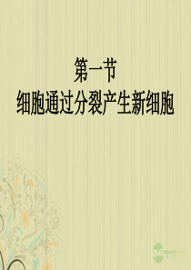 七年级生物上册 第二章《细胞怎样构成生物体》第一节《 细胞通过分裂产生新细胞》课件 (新版)新人教版