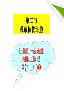 七年级生物上册 观察植物 动物细胞实验课课件 人教新课标版