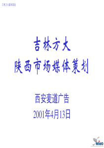 88 吉林方大陕西市场媒体策划