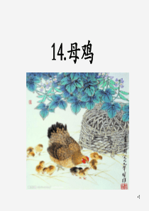 部编版四年级语文下册《14母鸡》课件PPT【精华本】