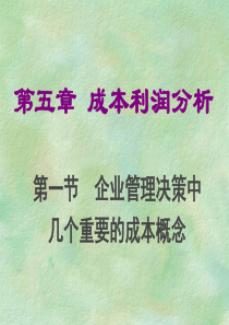 企业管理决策--成本利润分析（PPT 51页）