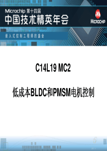 低成本BLDC和PMSM电机控制