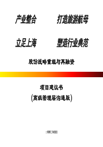 亚商咨询-股份战略重组与再融资项目建议书