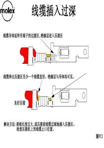 Molex端子压接规范