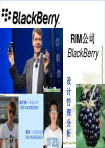 Blackberry黑莓策划