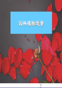 园林植物景观设计方法.ppt.deflate