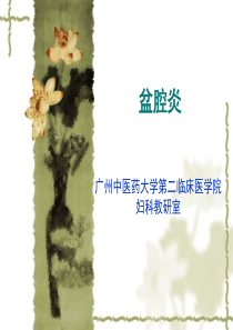 盆腔炎