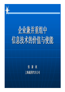 企业兼并重组中信息技术的价值与使能（PDF 16）