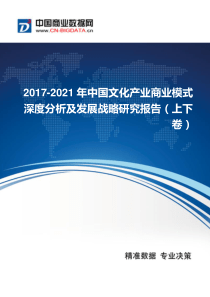 2017-2021年中国文化产业商业模式深度分析及发展战略研究报告