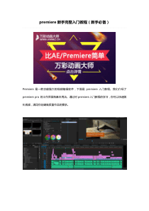 premiere新手完整入门教程(新手必备)