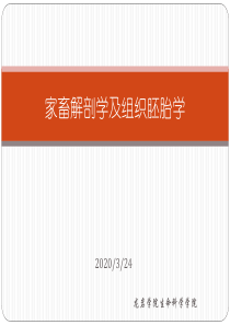 家畜解剖及胚胎组织学绪论