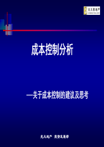 光大成本控制分析--关于成本控制的建议及思考