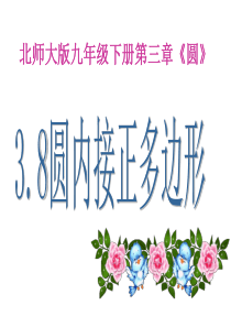 3.8圆内接正多边形(共14张PPT)