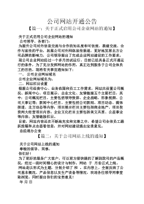 公告书之公司网站开通公告