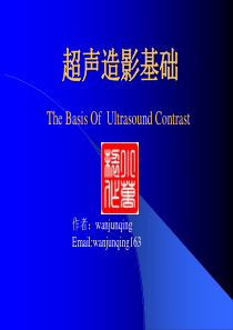 2019-超声造影基础-文档资料