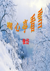 《湖心亭看雪》2019中考复习课件