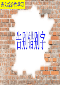 遨游汉字王国(错别字).