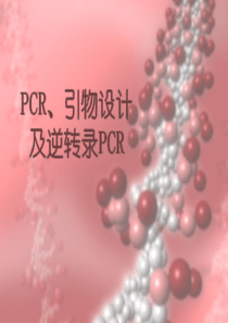 PCR、引物设计及逆转录PCR