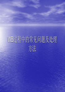 WB过程中常见问题及处理方法